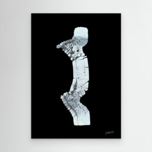 Canvas Print: "Zebraman/Dreamman"